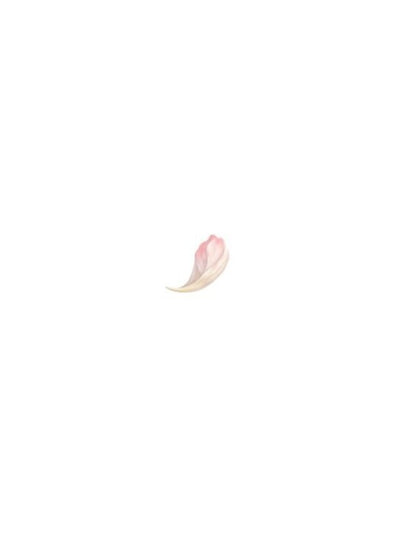 Lilac And Pink Poems - Бузков та рожев врш Oksana Bevzyuk - Оксана Бевзюк 9786178898007-2