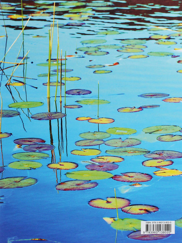 Lily Pads / Lily Pads  978-3-96013-802-0-2