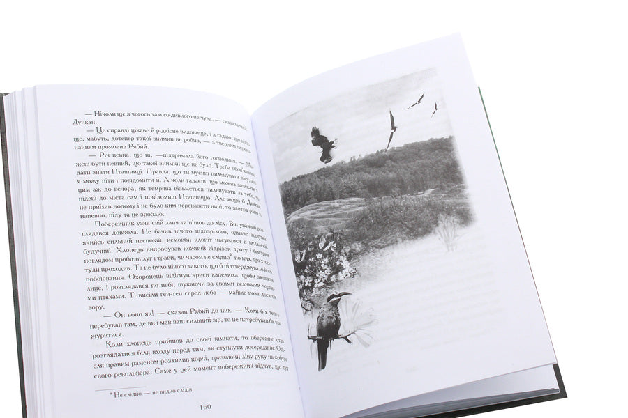 Limber's Love Story (Ryaby) / Історія кохання в Лимберлості (Рябий) Gin Stretton Porter / Джин Стреттон Портер 9789668650932-6