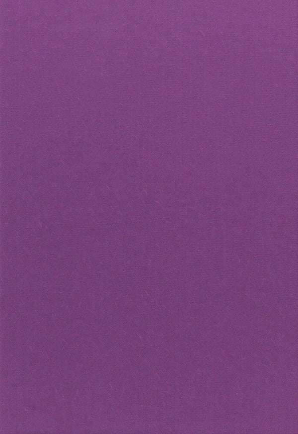 Lina Kostenko. 300 poems. Vasyl Stus. Palimpsests (set of 2 books) / Ліна Костенко. 300 поезій. Василь Стус. Палімпсести (комплект із 2 книг) Лина Костенко, Василий Стус 978-617-585-035-0, 978-617-585-219-4-3