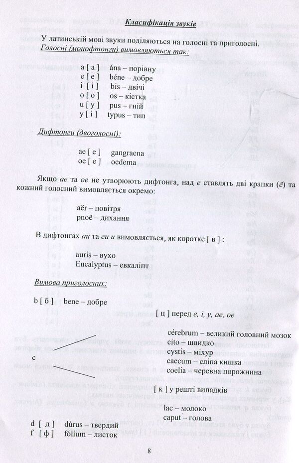 Lingua Latina. Tutorial / Lingua Latina. Навчальний посібник О. Савенкова 978-617-7320-33-2-5