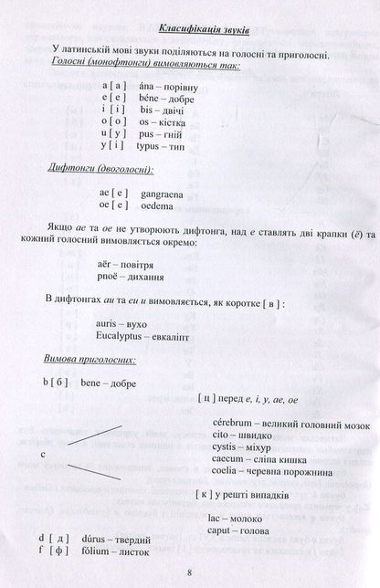 Lingua Latina. Tutorial / Lingua Latina. Навчальний посібник О. Савенкова 978-617-7320-33-2-5