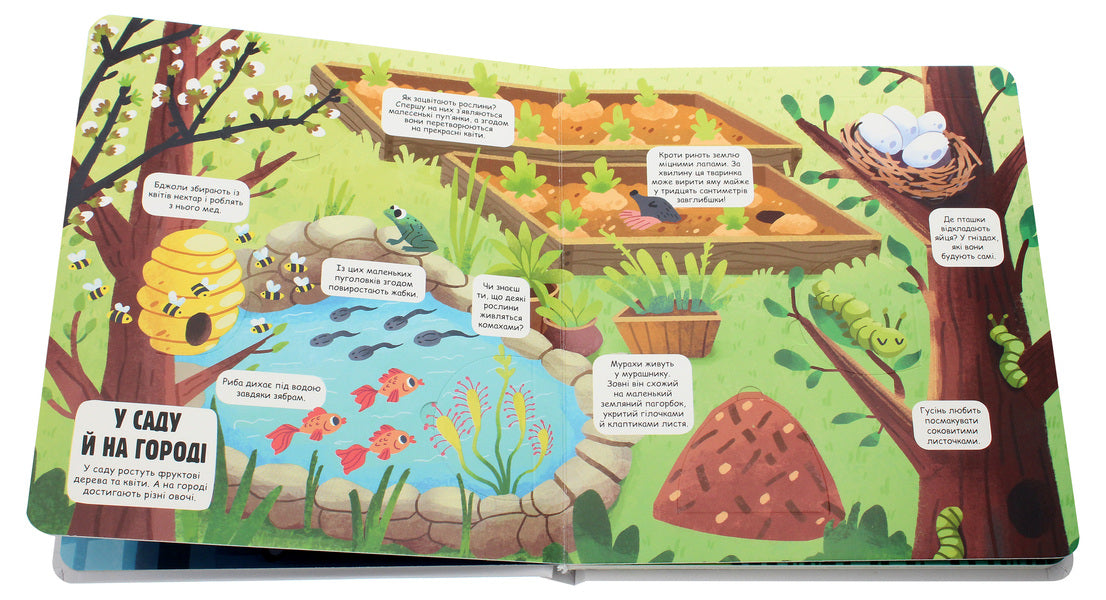 Little Explorers The World Around Me - Маленьк дослдники Свт навколо мене Anastasia Korovkina - Анастася Коровкна 9786177820665-5