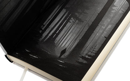 Little Red Riding Hood. Book 1 / Червона Шапочка. Книга 1 Ирена Светек 978-966-10-9016-2-4