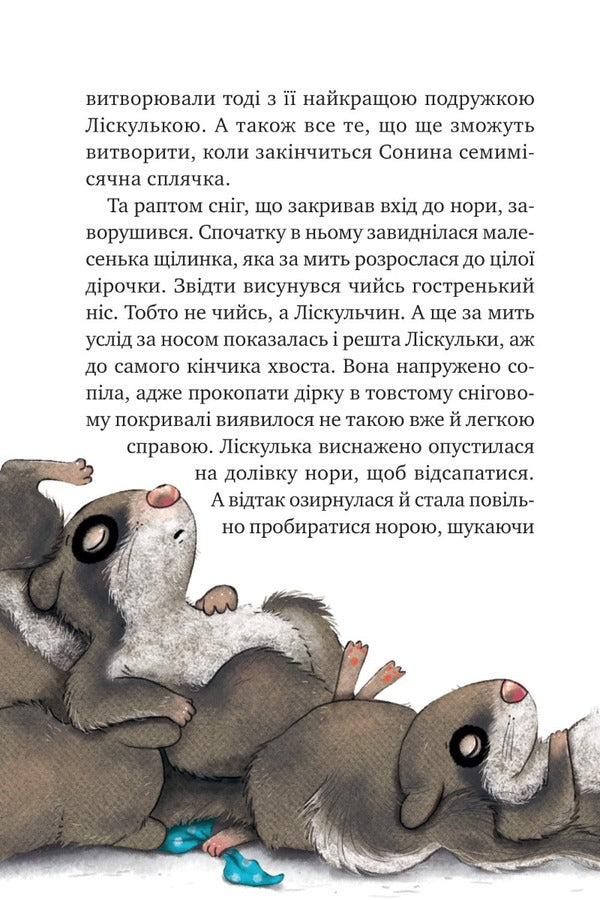 Little Sonya in the forest of Christmas stories / Маленька Соня в лісі різдвяних історій Забине Бальман 9786171700017-5