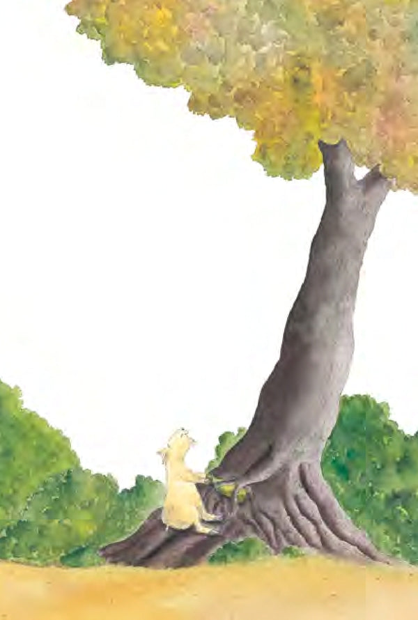 Little dragon Coco and the great wizard / Дракончик Кокос і великий чарівник Инго Зигнер 978-617-614-369-7-6