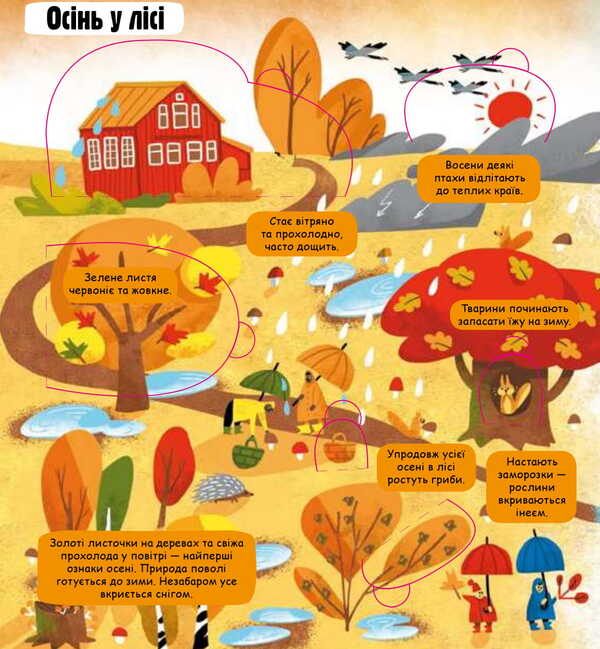 Little explorers.Weather and nature / Маленькі дослідники. Погода і природа Анастасия Дружининская, Анастасия Коровкина, Лида Ларина 978-617-7563-85-2-3