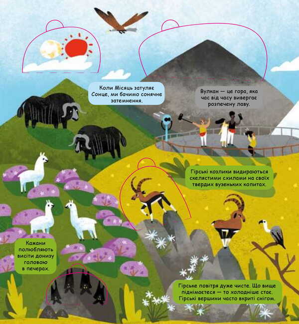 Little explorers.Weather and nature / Маленькі дослідники. Погода і природа Анастасия Дружининская, Анастасия Коровкина, Лида Ларина 978-617-7563-85-2-5