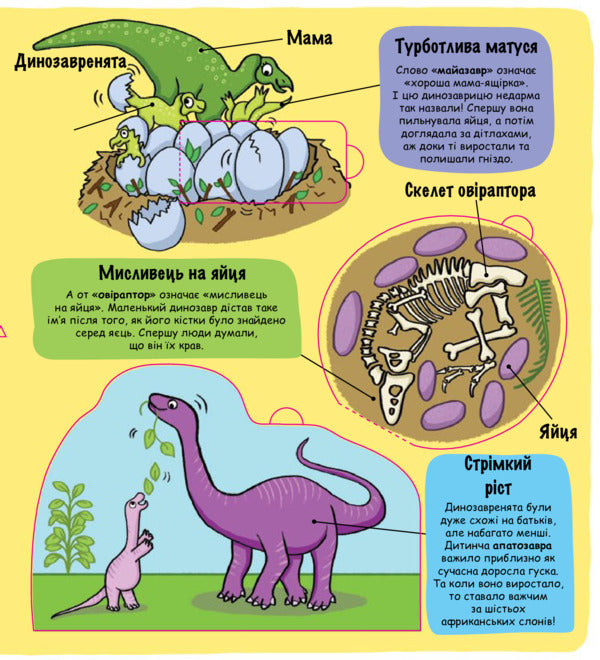 Little explorers. Dinosaurs / Маленькі дослідники. Динозаври  978-617-7563-20-3-4
