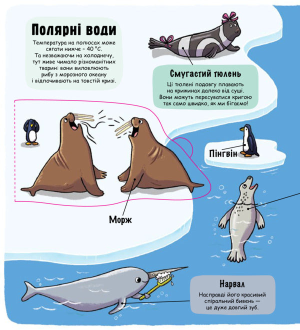 Little explorers. Underwater world / Маленькі дослідники. Підводний світ  978-617-7563-49-4-6