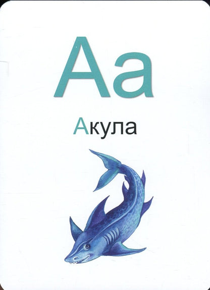 Living Alphabet Learning Cards For Learning The Ukrainian Language With Augmented Reality And 4D Sound / Навчальні картки Жива Абетка для вивчення української мови з доповненою реальністю та звуком 4D / Author not specified 9786178237486-5