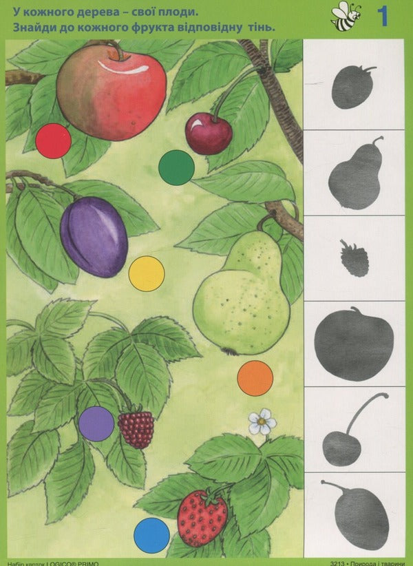 Logico Primo. Nature and animals / Logico Primo. Природа і тварини  -5