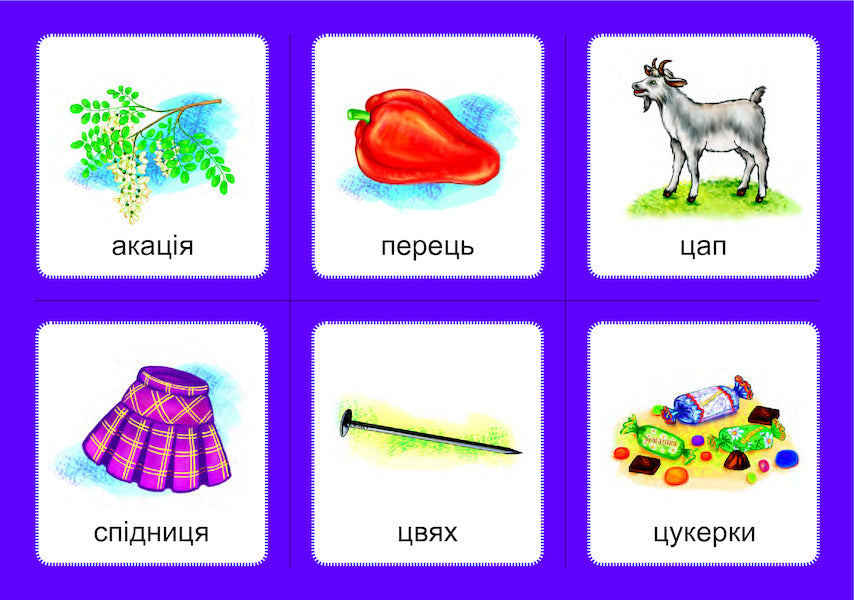 Logopedic lotto. Associations. In 4 parts. Set 3. Sounds [s]-[w], [z]-[g], [t]-[h], [h]-[h] / Логопедичне лото. Асоціації. У 4х частинах. Комплект 3. Звуки [с]-[ш], [з]-[ж], [ц]-[ч], [ч]-[ч] Валентина Рожнив 978-966-10-6001-1, 978-966-10-3784-6-3