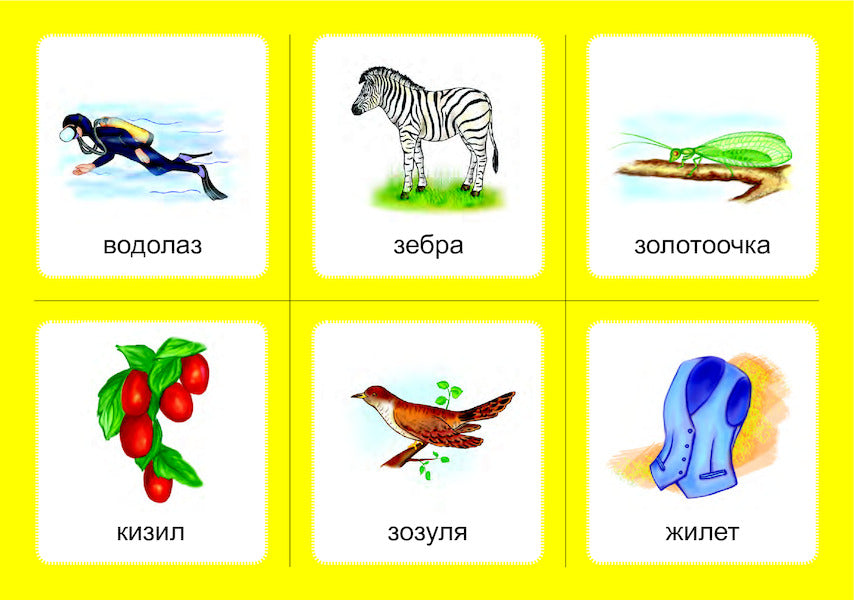 Logopedic lotto. Associations. In 4 parts. Set 3. Sounds [s]-[w], [z]-[g], [t]-[h], [h]-[h] / Логопедичне лото. Асоціації. У 4х частинах. Комплект 3. Звуки [с]-[ш], [з]-[ж], [ц]-[ч], [ч]-[ч] Валентина Рожнив 978-966-10-6001-1, 978-966-10-3784-6-6