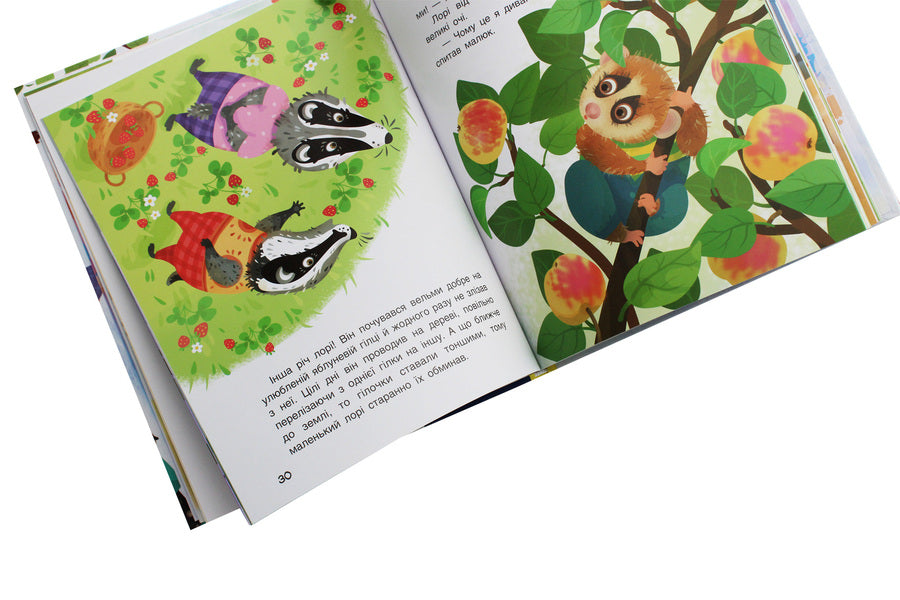 Lol's inventions / Льолині вигадки Оксана Демченко, Александра Монич, Людмила Борисова 978-617-09-6014-6-6