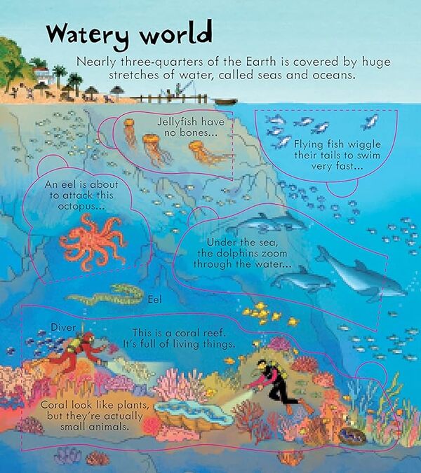 Look Inside Our World / Look Inside Our World Эмили Боун 978-1-4095-6394-5-5