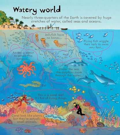 Look Inside Our World / Look Inside Our World Эмили Боун 978-1-4095-6394-5-5