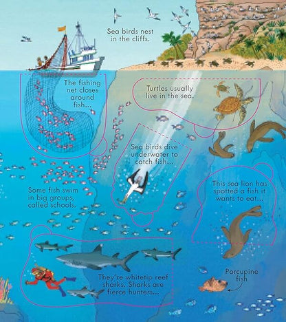 Look Inside Our World / Look Inside Our World Эмили Боун 978-1-4095-6394-5-6