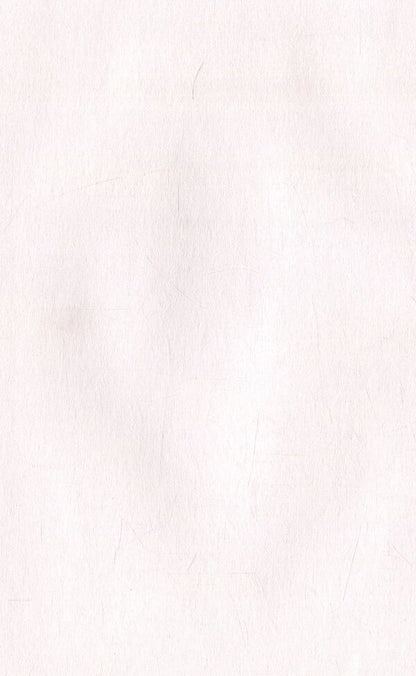 Look ahead. A reliable way to the dream life / Дивись уперед. Надійний шлях до омріяного життя Майкл Гаят, Дэниел Гаркави 978-617-7279-91-3-5