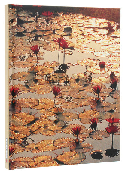 Lotus Pond / Lotus Pond  9783897896871-3