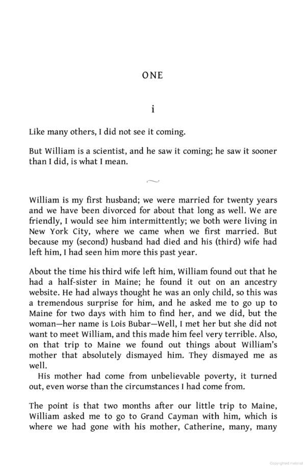 Lucy by the Sea / Lucy by the Sea Элизабет Страут 9780241607008-2