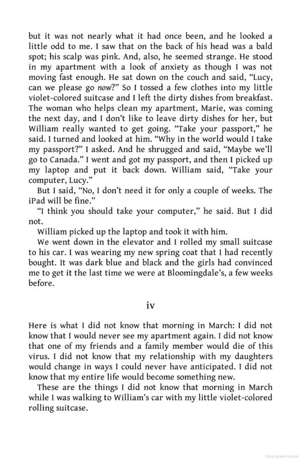 Lucy by the Sea / Lucy by the Sea Элизабет Страут 9780241607008-3