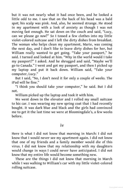 Lucy by the Sea / Lucy by the Sea Элизабет Страут 9780241607008-3