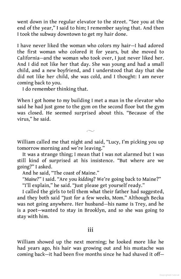 Lucy by the Sea / Lucy by the Sea Элизабет Страут 9780241607008-4