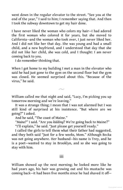 Lucy by the Sea / Lucy by the Sea Элизабет Страут 9780241607008-4