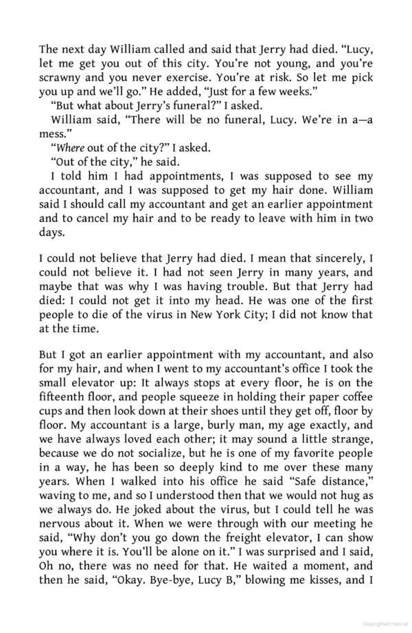 Lucy by the Sea / Lucy by the Sea Элизабет Страут 9780241607008-5