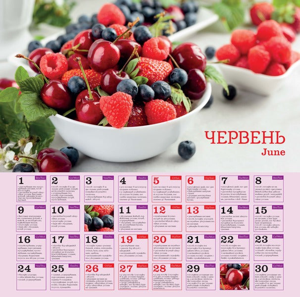 Lunar Sowing Calendar 2027 - Мсячний посвний календар 2027 - Author not specified 9771998595298-2