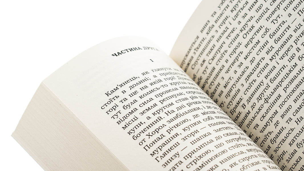 Lyuboratsky (Family Chronicle) / Люборацькі (Сімейна хроніка) Анатолий Свидницкий 9786178153656-5