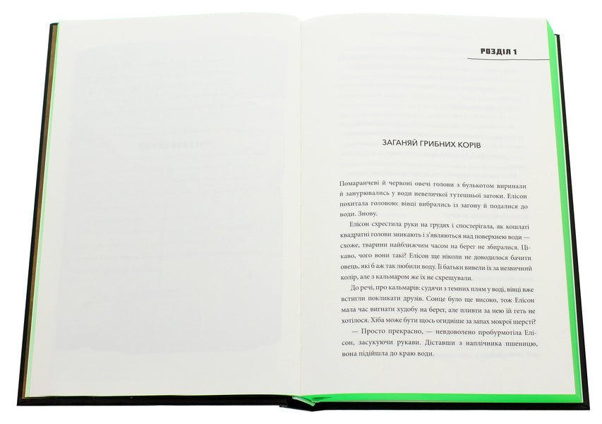 MINECRAFT. Lost diaries / MINECRAFT. Втрачені щоденники Мёр Лафферти 978-617-7688-82-1-4