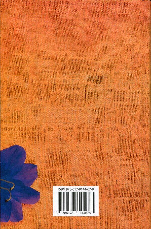 Mad honey / Шалений мед Джоди Пиколт, Дженнифер Финни Бойлан 978-617-8144-67-8-4