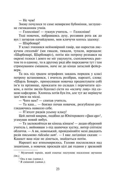 Madame Bovary / Пані Боварі Гюстав Флобер 978-617-551-433-7-6