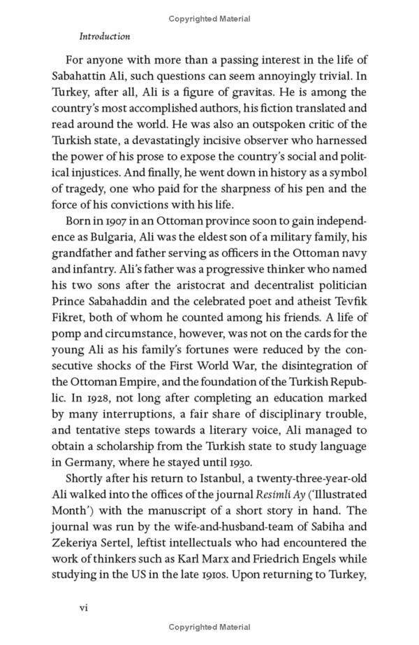 Madonna in a Fur Coat / Madonna in a Fur Coat Сабахаттин Али 9780241422267-4