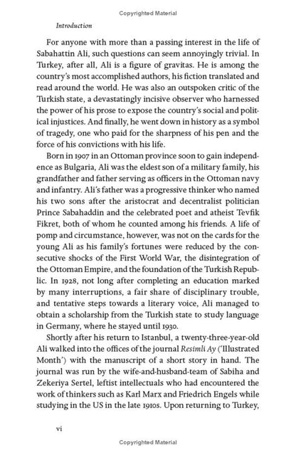 Madonna in a Fur Coat / Madonna in a Fur Coat Сабахаттин Али 9780241422267-4