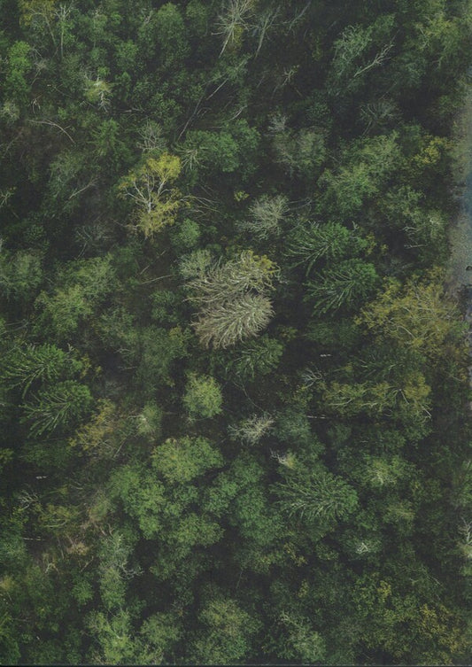 Magic Polesie. People, fate, time / Чарівне Полісся. Людність, доля, час Владимир Цибулькин, М. Сердюченко 978‐966‐2711‐76-9-2