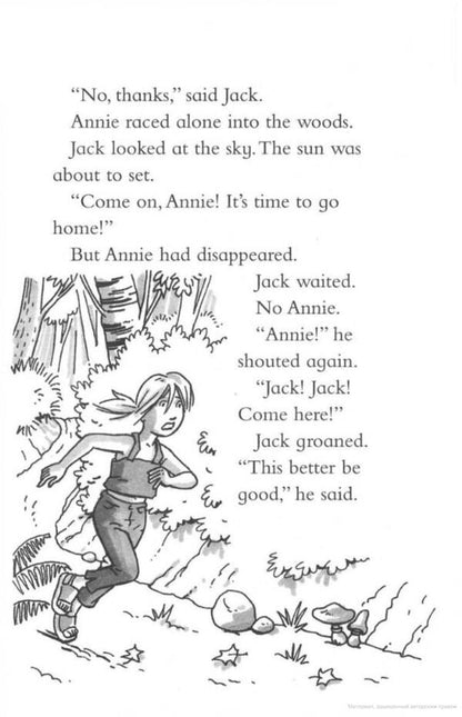 Magic Tree House 1. Valley Of The Dinosaurs Mary Osbourne / Мэри Осборн 9781862305236-4