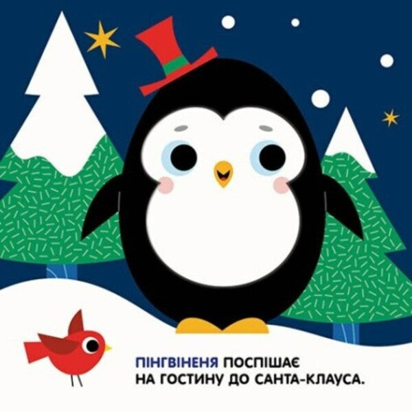 Magical transformations. Christmas / Чарівні перетворення. Різдво Алена Пуляева 978-966-751-436-5-2