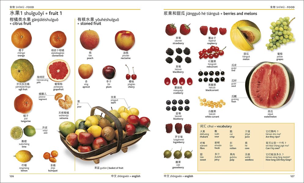 Mandarin Chinese-English Bilingual Visual Dictionary / Author not specified 9780241317563-5