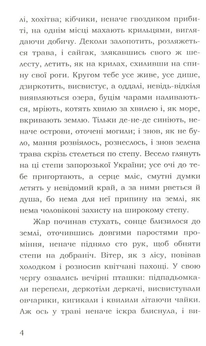 Marco Is Damn. Treasure / Марко Проклятий. Скарб Oleksa Storozhenko / Олекса Стороженко 9786177841219-5