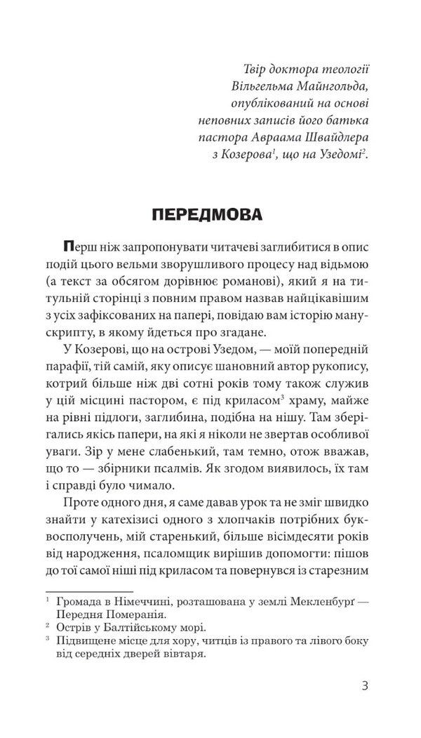 Maria Shweidler Is The Amber Witch / Марія Швайдлер — Бурштинова відьма Wilhelm Meingold / Вільгельм Мінгольд 9789661061056-2