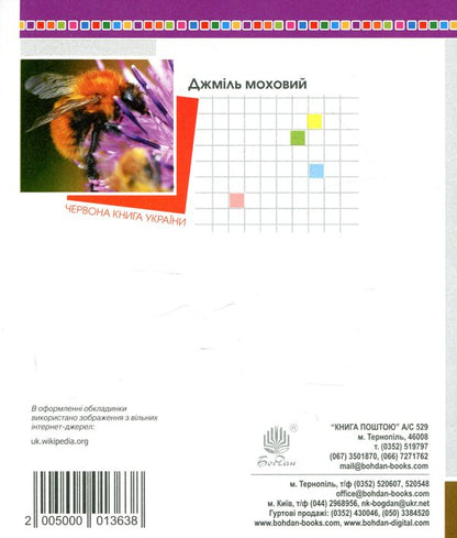 Mathematics. Grade 2. Cards For Self -Work / Математика. 2 клас. Картки для самостійної роботи Natalia Budnaaya, Mikhail Bogdanovich / Наталія Будная, Михайл Богданович 2005000013638-2