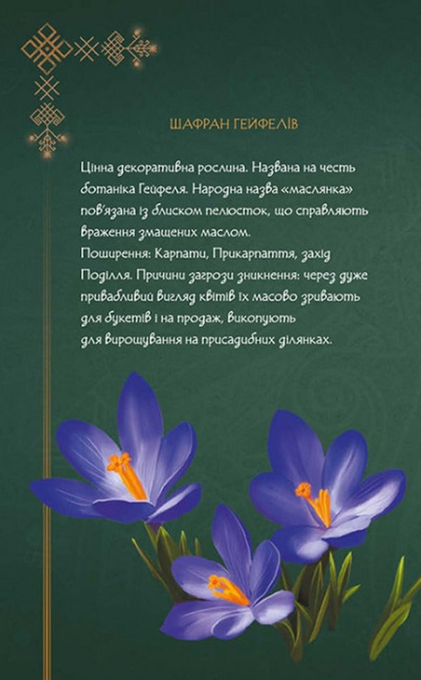 Mavka's diary.Spring / Щоденник Мавки. Весна  9789667510831-6