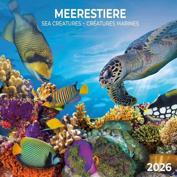 Meerestiere/Sea Creatures/Creatures Marines 2026 / Author not specified 9783959296069-1