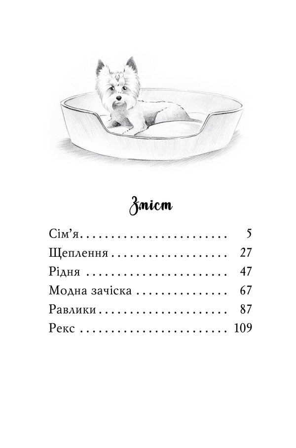 Meet Sherlock! Book 1. What Is It Like To Be A Yorkist? / Знайомтеся, Шерлок! Книга 1. Як воно — бути йорком? Olesya Antonova / Олеся Антонова 9786178373931-3