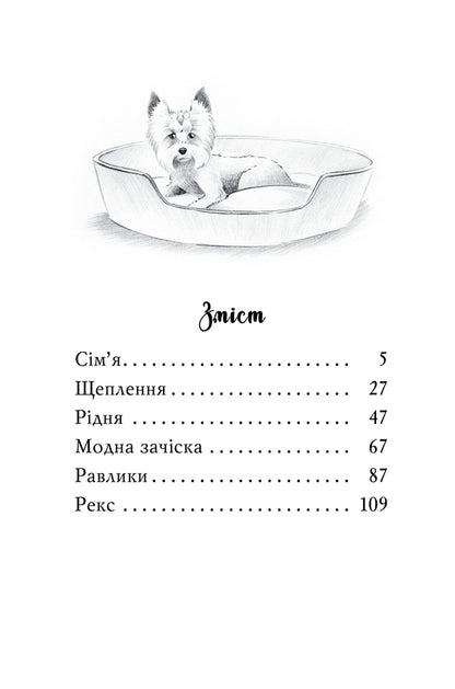 Meet Sherlock! Book 1. What Is It Like To Be A Yorkist? / Знайомтеся, Шерлок! Книга 1. Як воно — бути йорком? Olesya Antonova / Олеся Антонова 9786178373931-3