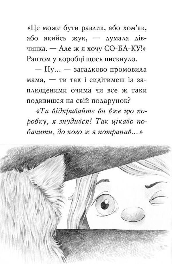 Meet Sherlock! Book 1. What is it like to be a Yorkist? / Знайомтеся, Шерлок! Книга 1. Як воно — бути йорком? Олеся Антонова 978-617-8248-17-8-6