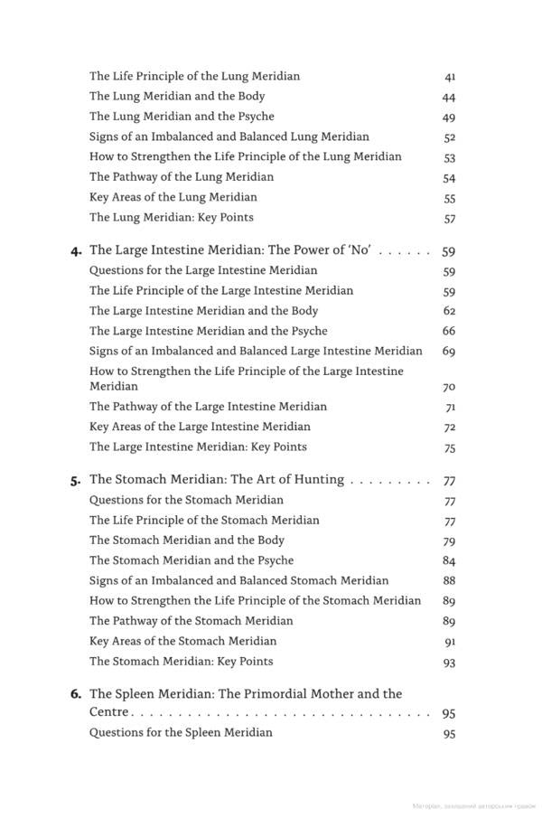 Meridians. Maps of the Soul / Meridians. Maps of the Soul Майк Мандл 9781839976711-3